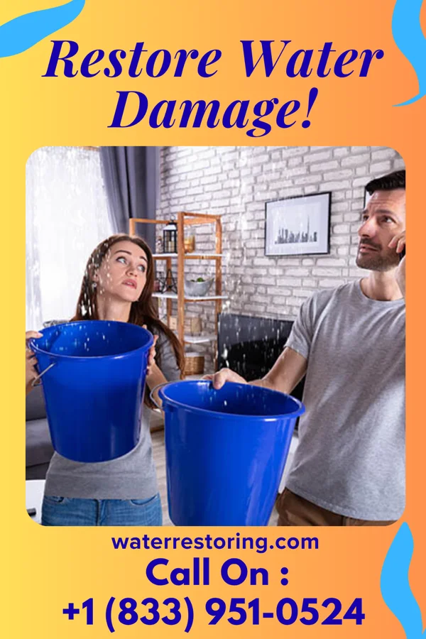 water restoration Eagle Disaster Cleanup Masters Appleby