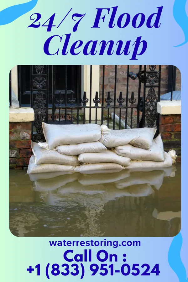 24/7 Flood Cleanup in Appleby, TX