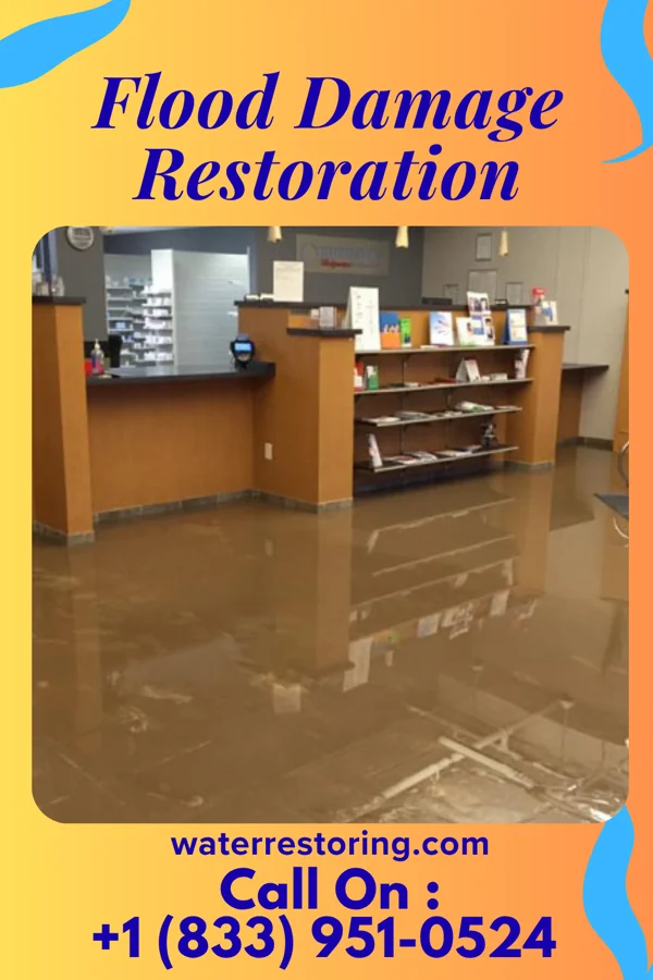 Flood Damage Restoration in Appleby, TX