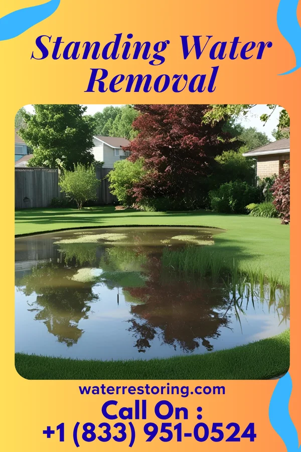 Standing Water Removal in Appleby, TX